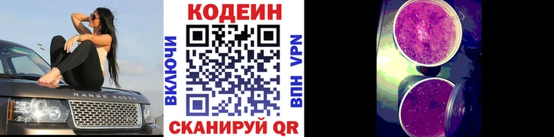 kraken зеркало  Данков  Codein Purple Drank  сколько стоит 