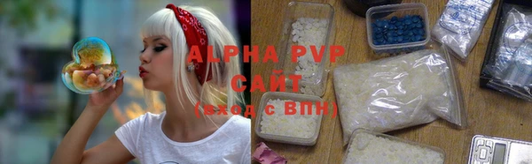 амф Верея