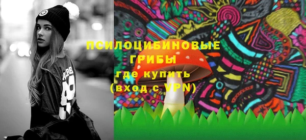 амф Богородск