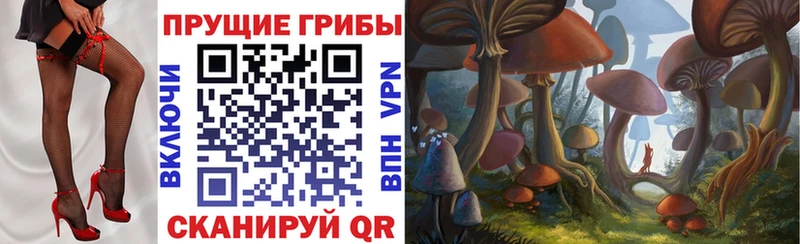 Псилоцибиновые грибы GOLDEN TEACHER  купить   Данков 